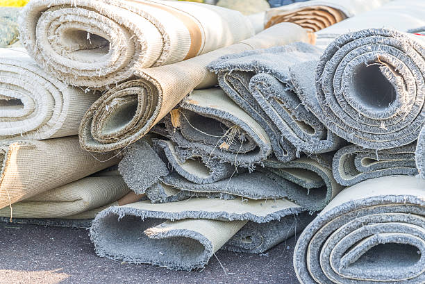 Best Hoarding Cleanup  in Warren, MN